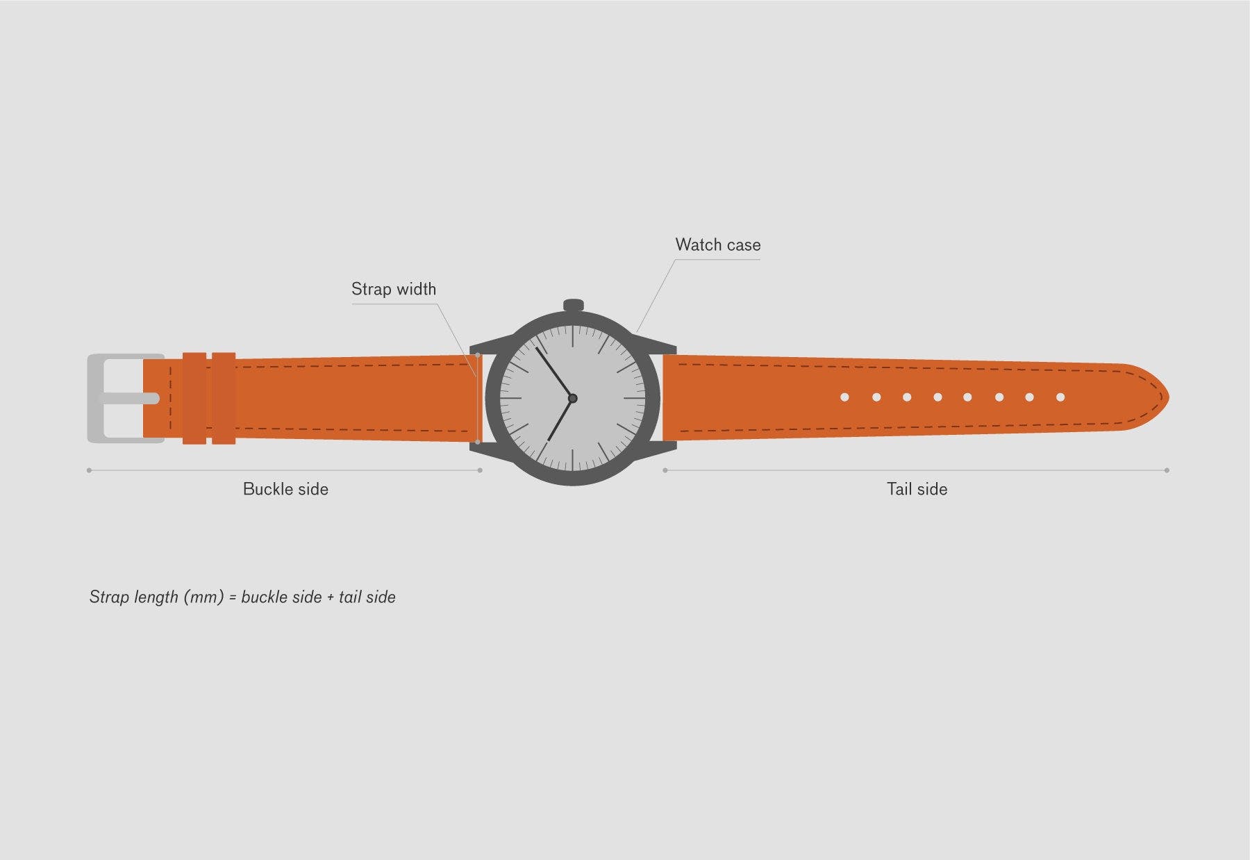 watch diameter for wrist size