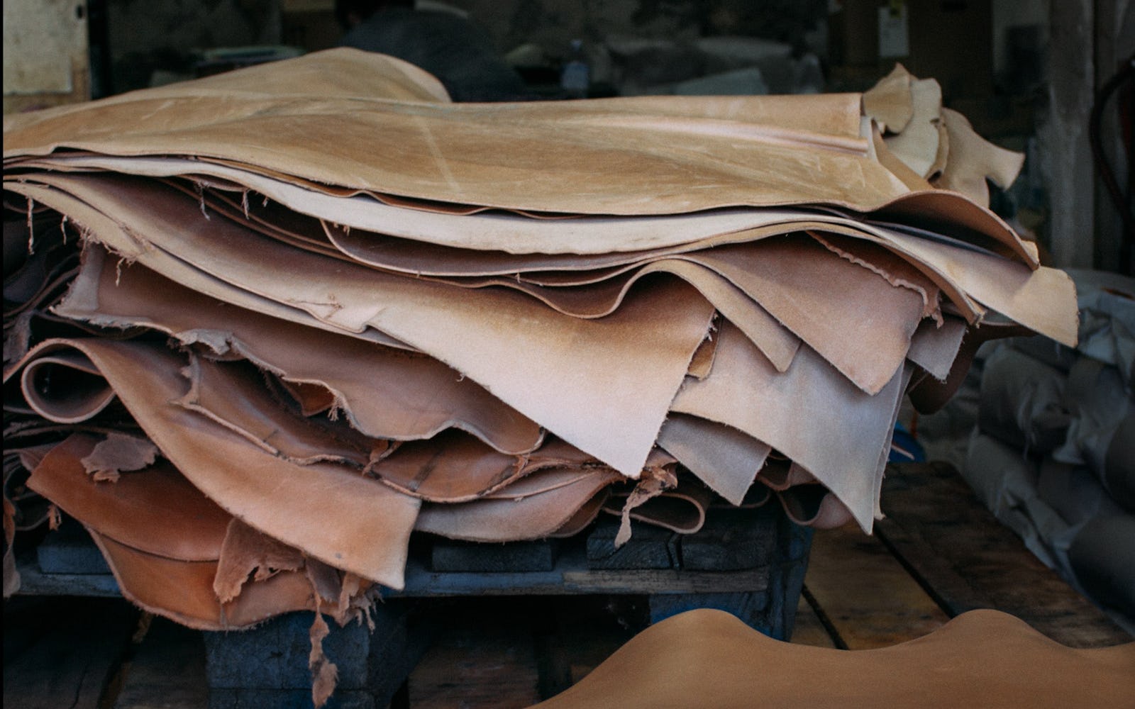 Leather hides